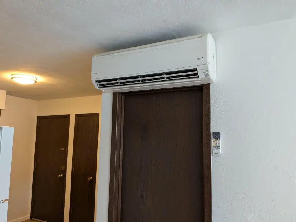 Picture 12