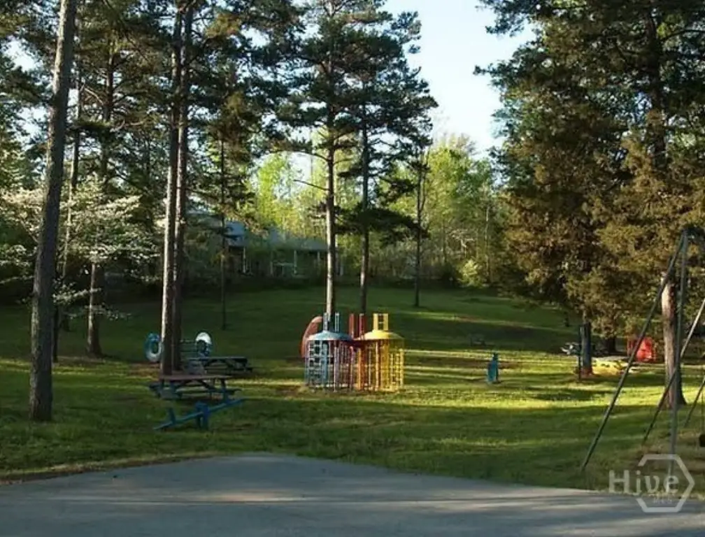 Picture 11