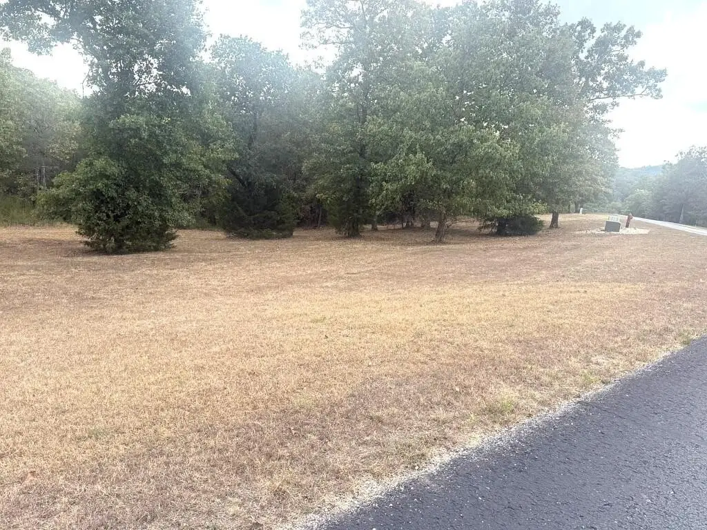 Picture 5
