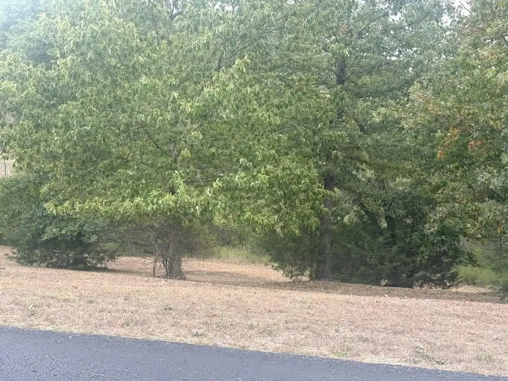 Picture 11