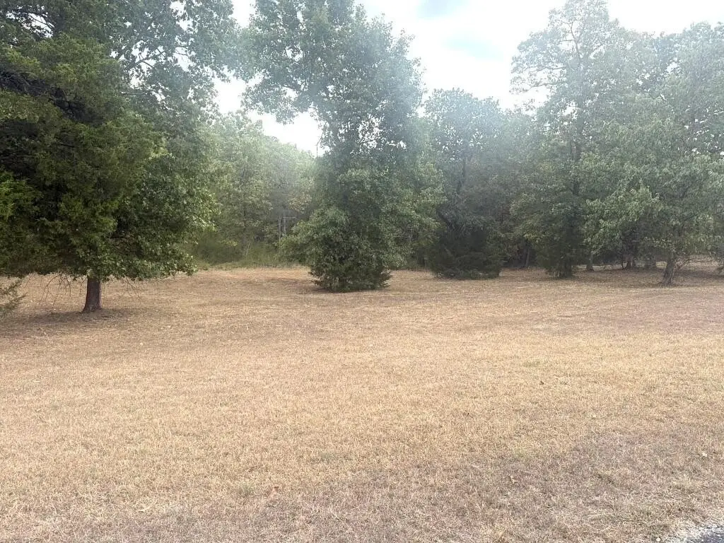 Picture 3