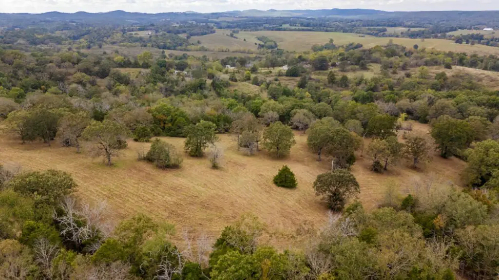 Picture 67