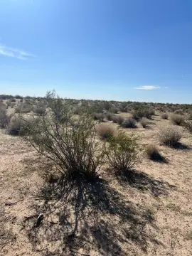 Land For Sale in Mojave