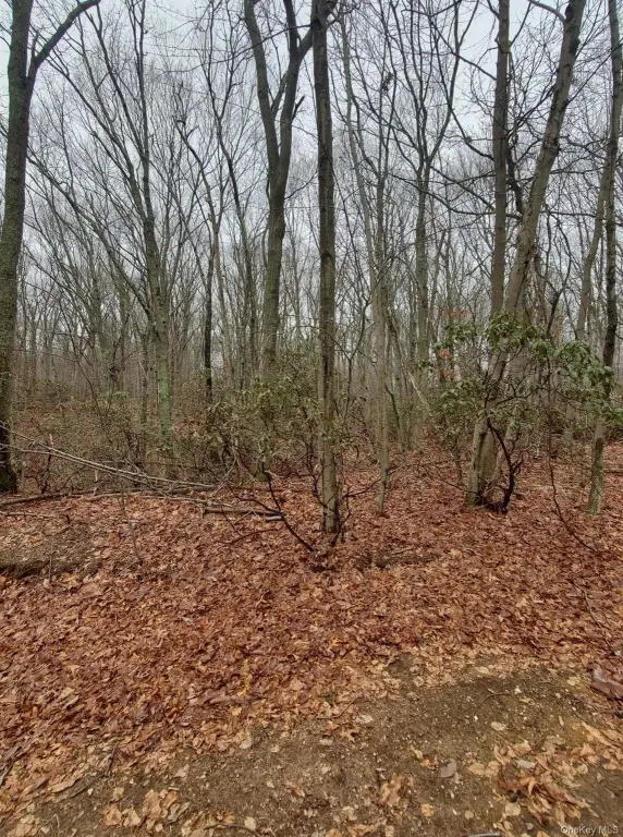 Picture 2