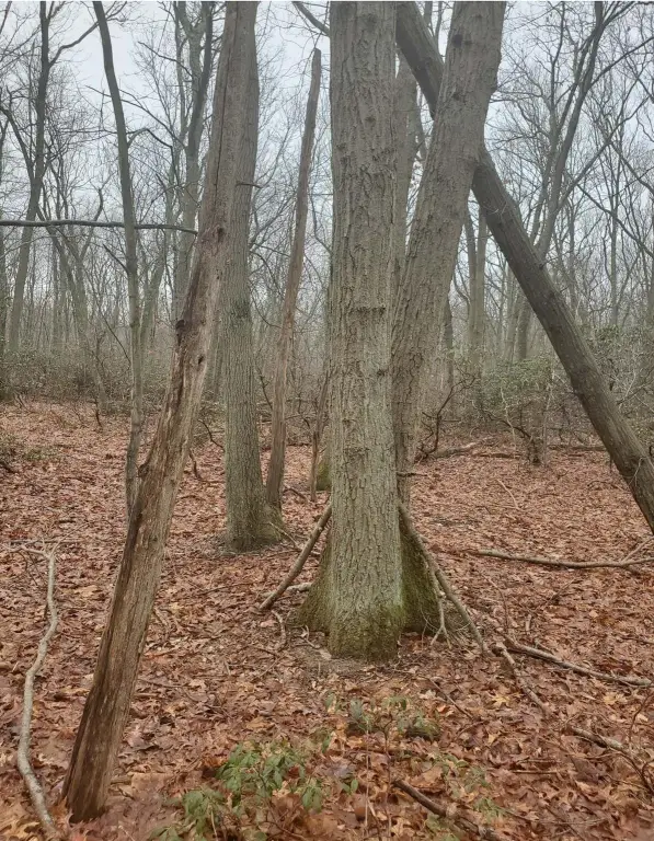 Picture 3