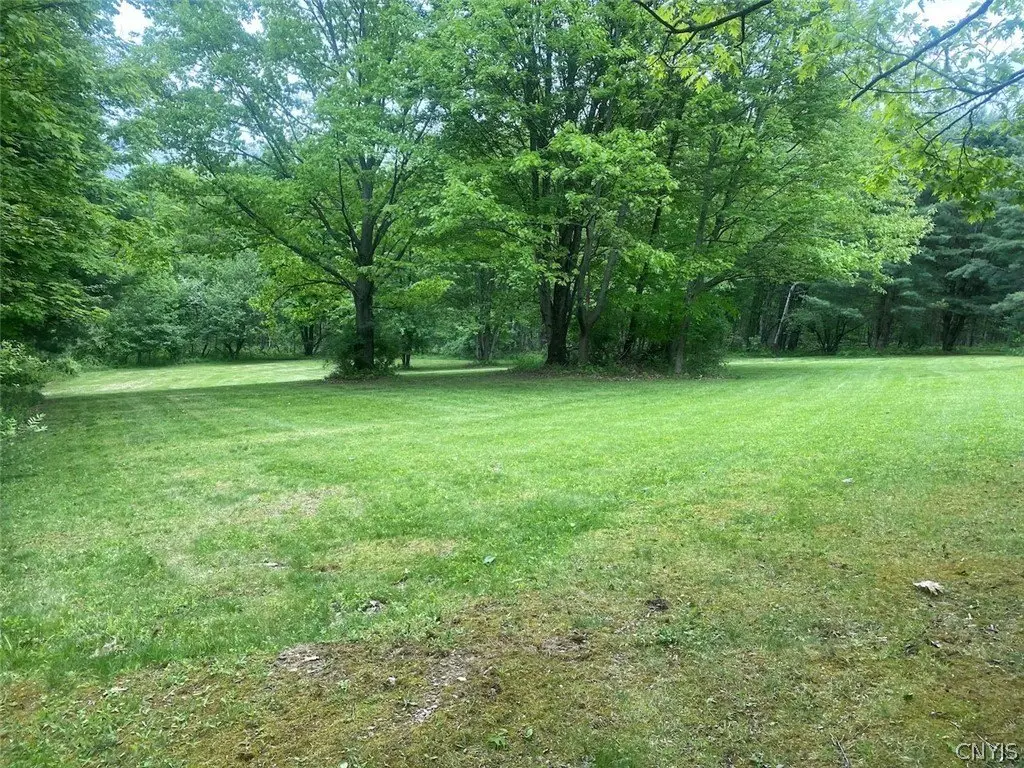 Picture 21