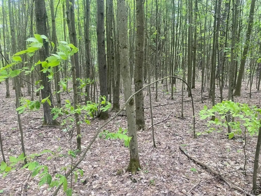 Picture 23