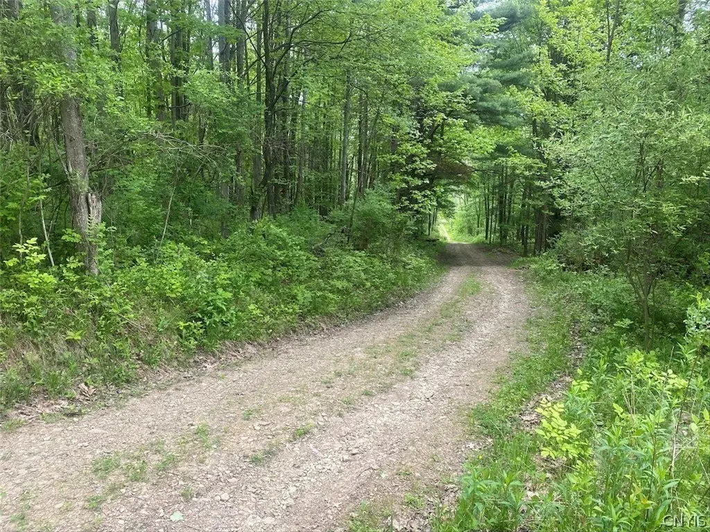 Picture 22