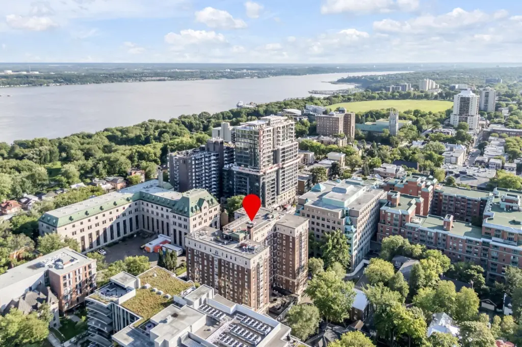 Picture 19