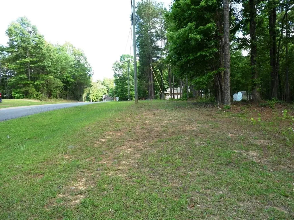Picture 3
