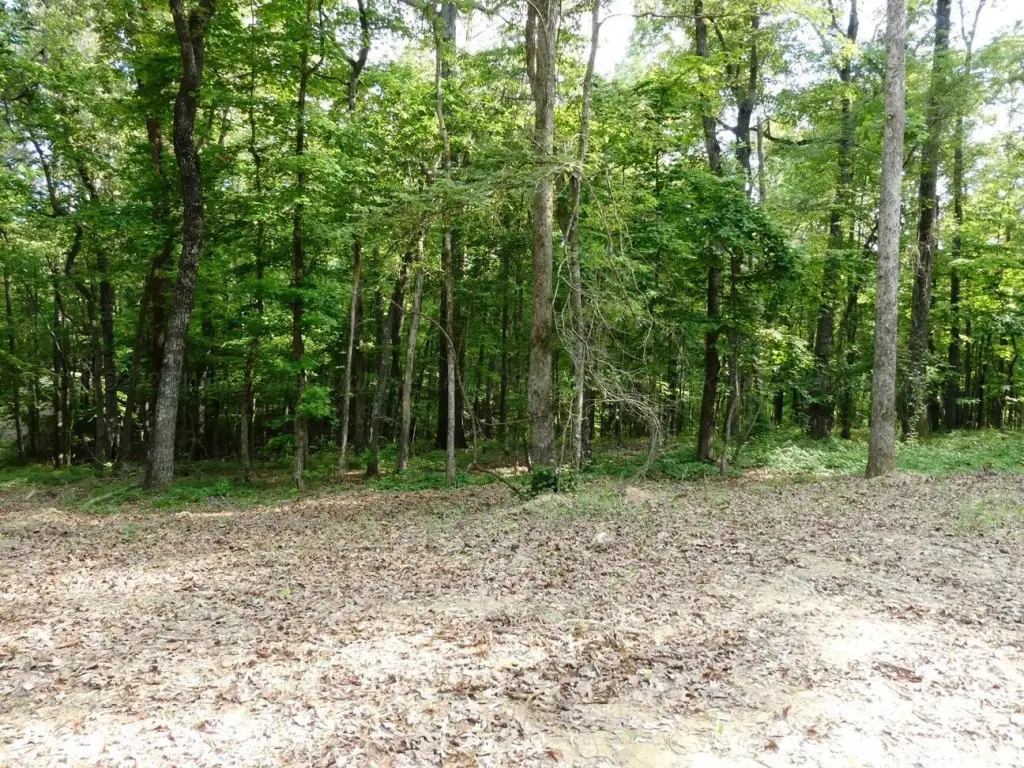 Picture 2