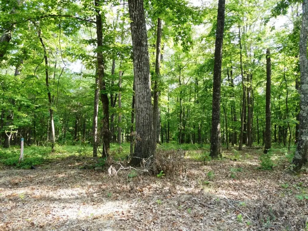 Picture 4