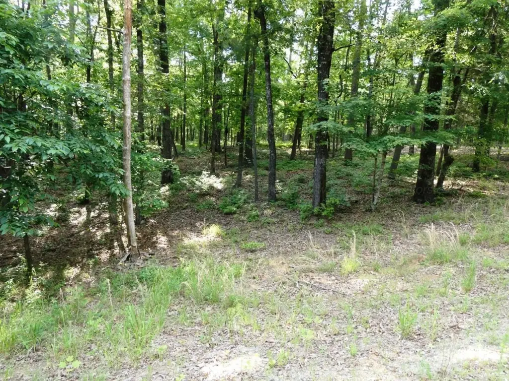 Picture 2