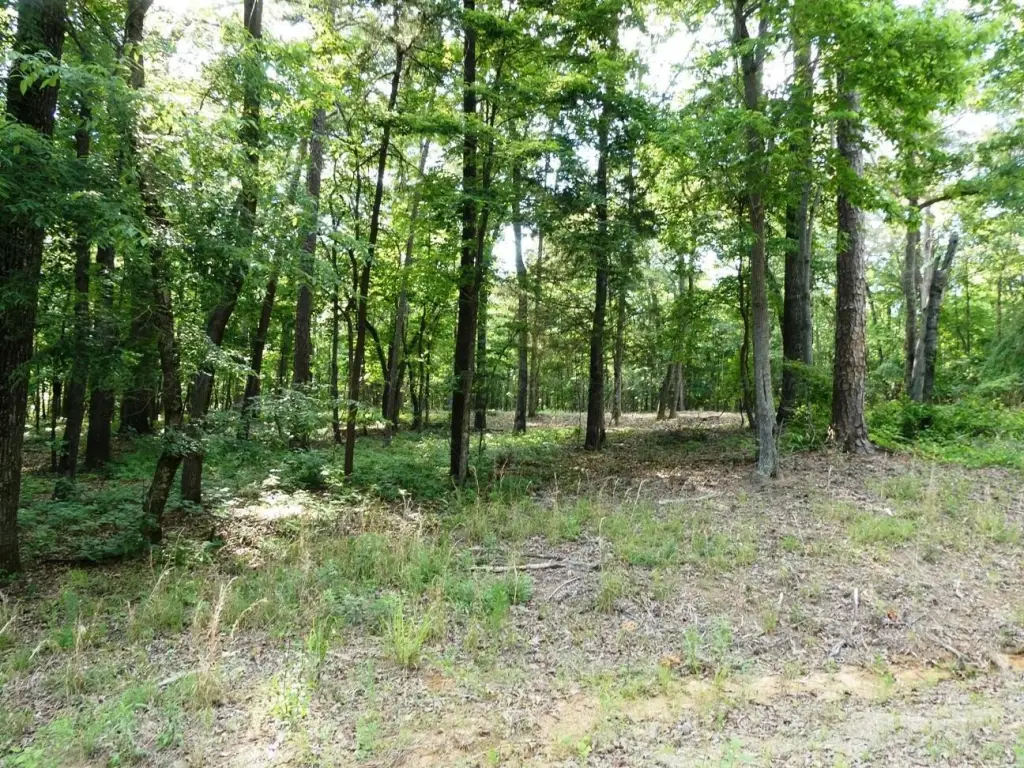 Picture 4
