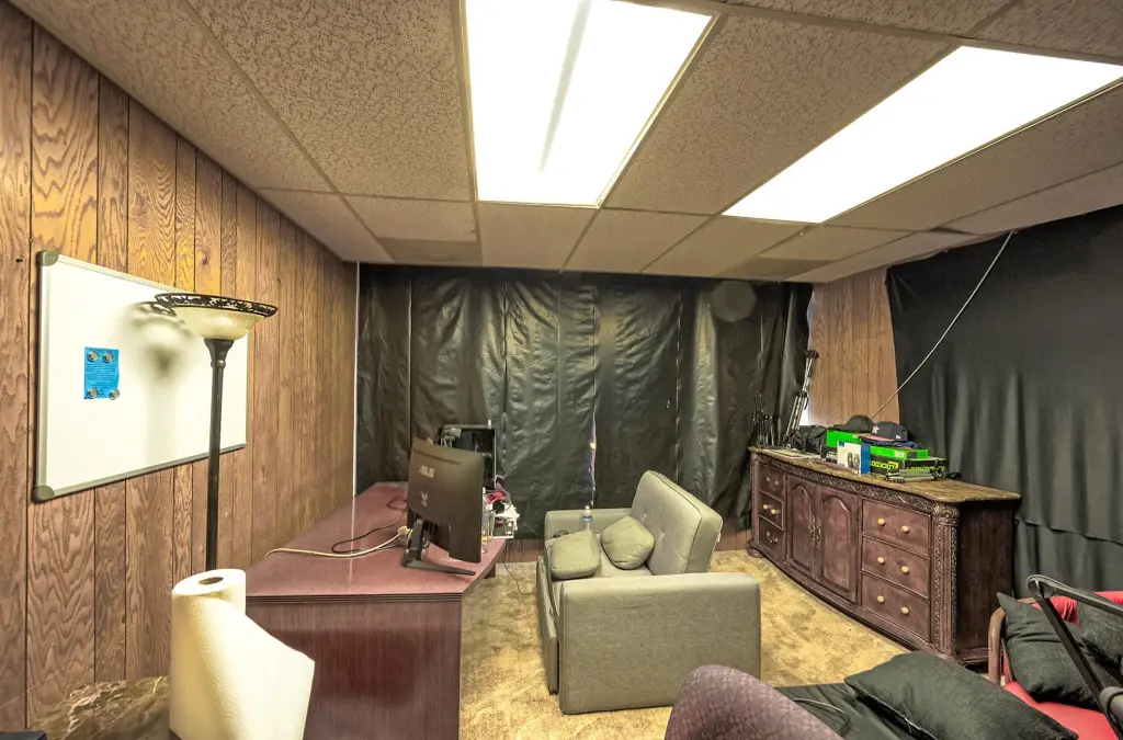 Picture 4