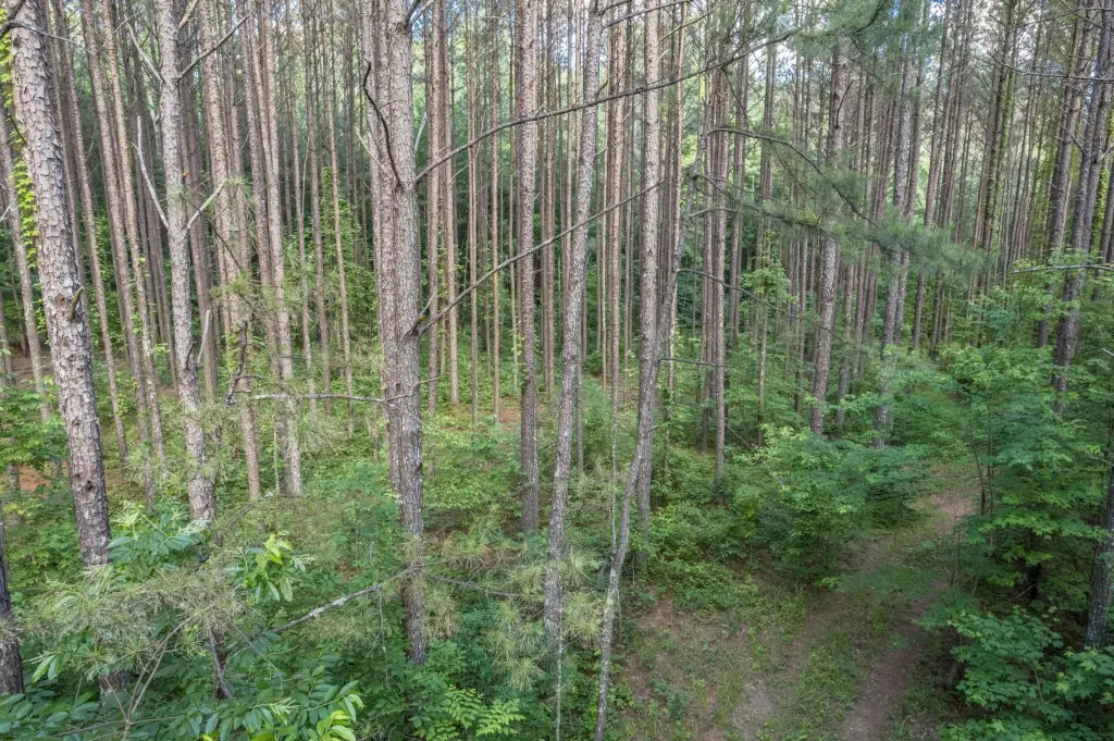 Picture 33