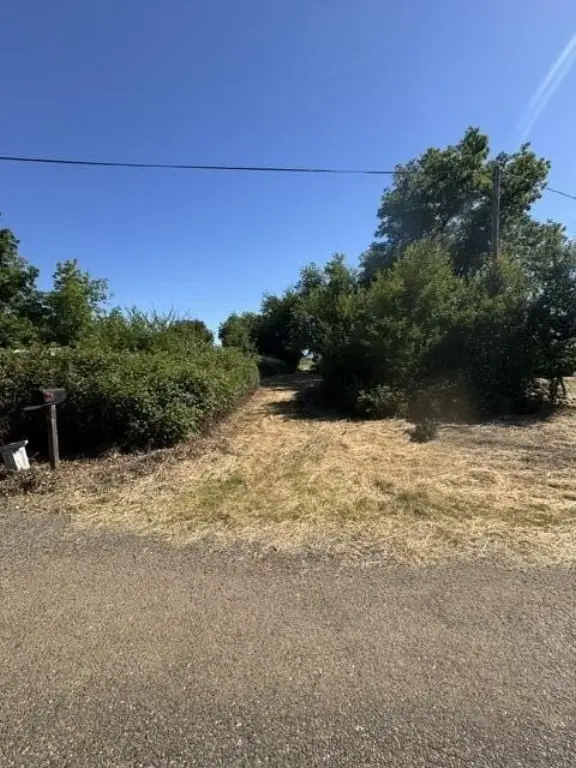 Picture 18