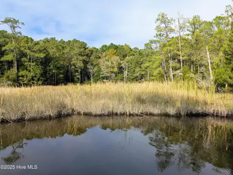 Waterfront Land in Stella, NC