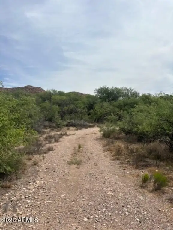 Picture 6