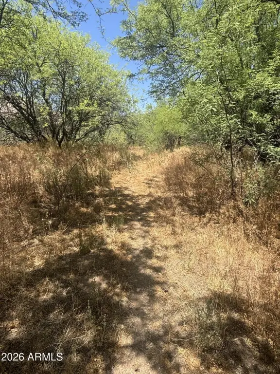 Picture 16