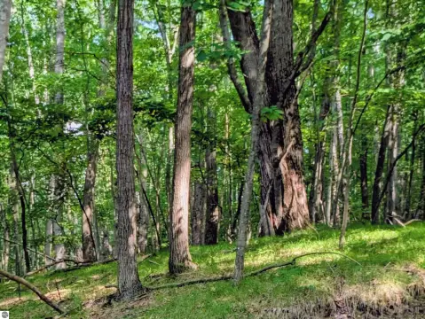 Wooded Corner Lot in Canadian Lakes