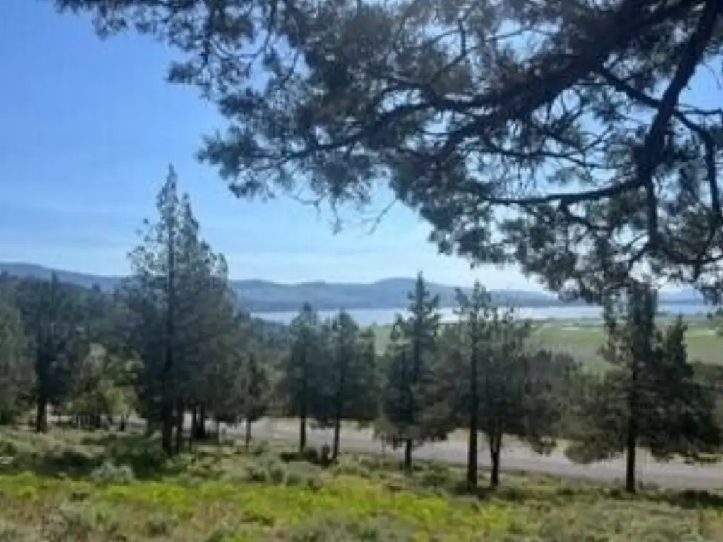 Picture 4