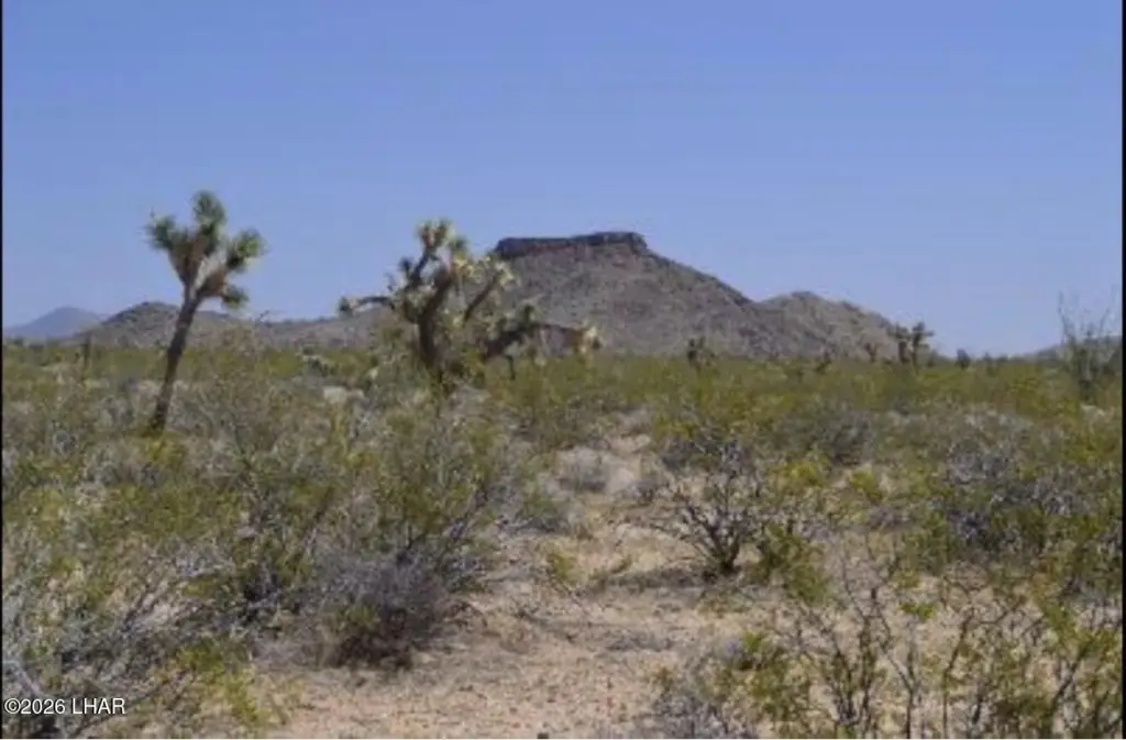 Picture 5