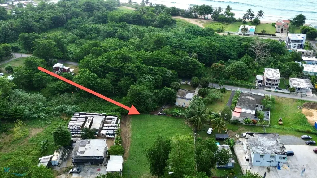Picture 4