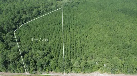 Secluded Land in Cottageville, SC