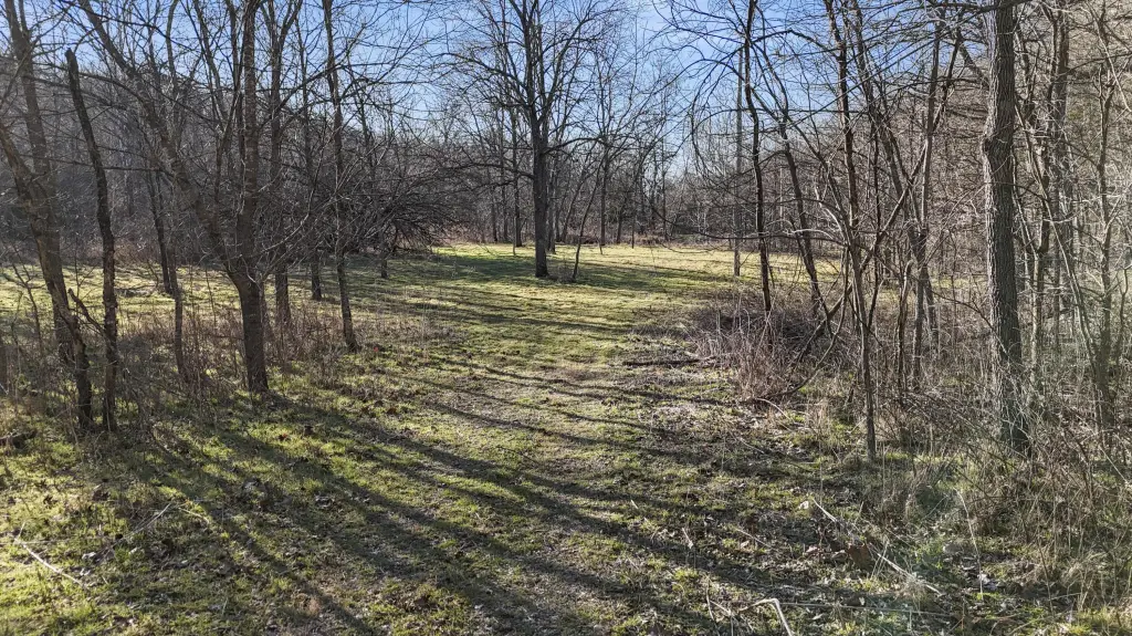 Picture 51
