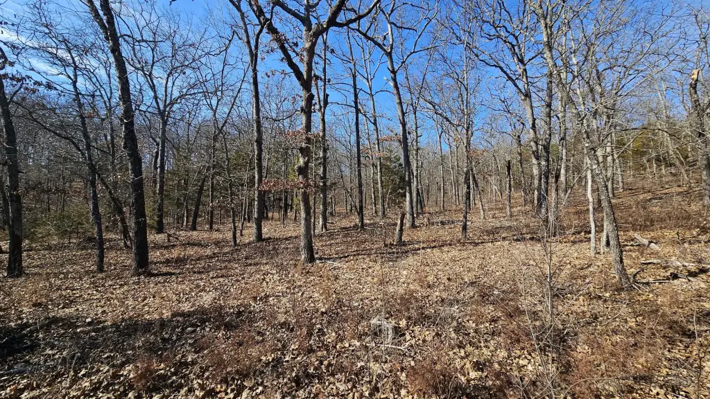 Picture 12