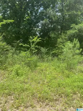 One-Acre Lot in Timber Ridge