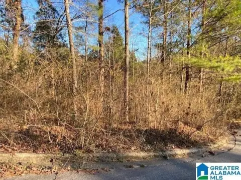 Residential Lot in Odenville, AL