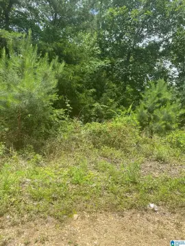 Residential Lot in Odenville