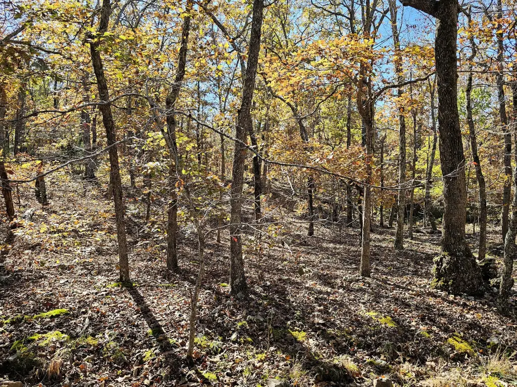 Picture 7