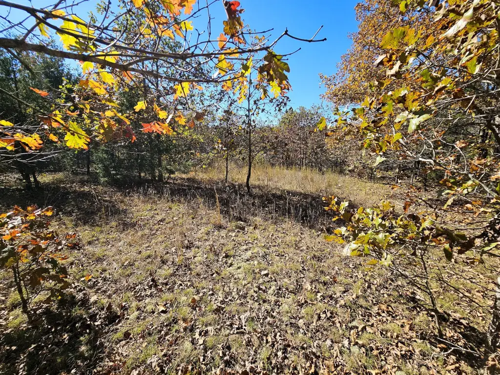 Picture 14