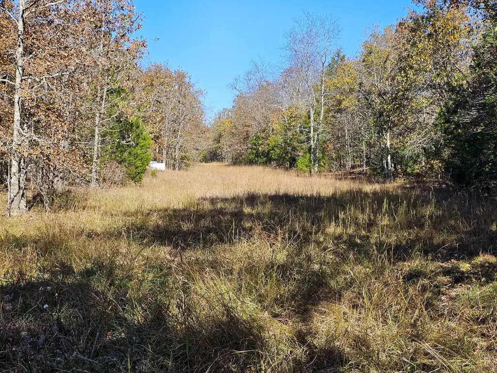 Picture 16