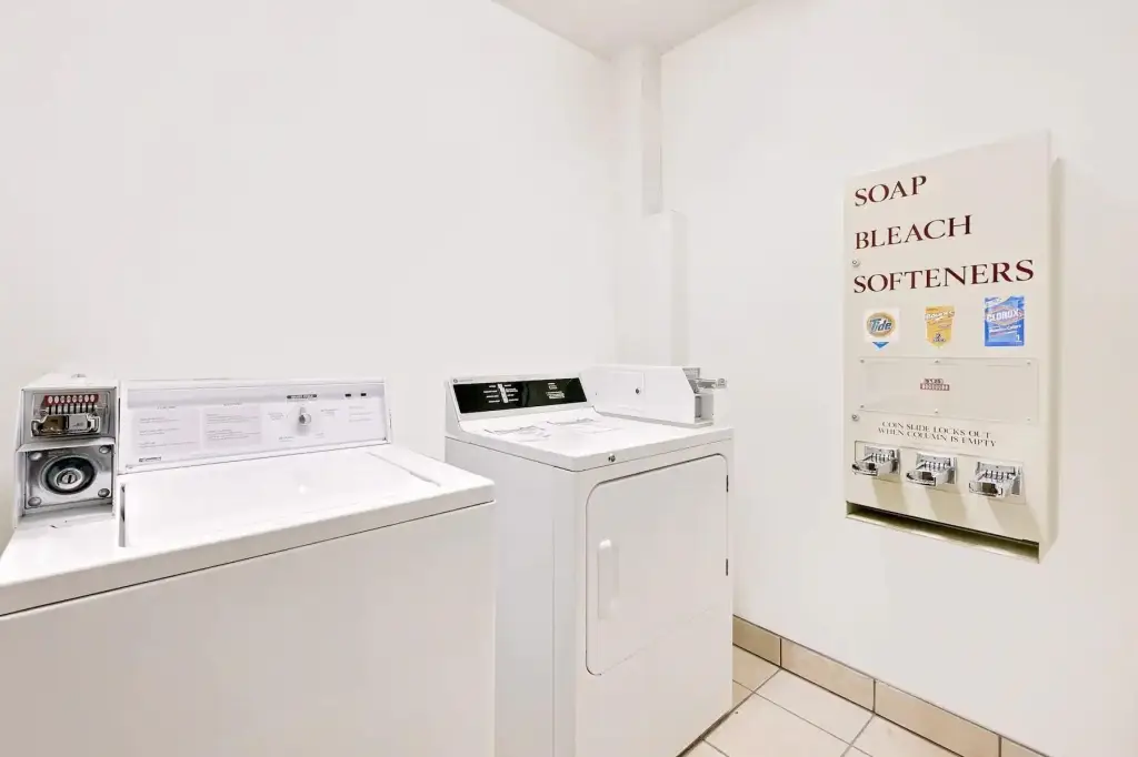 Picture 15