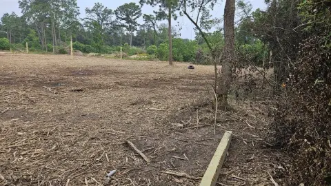 Houston Land Near Airport