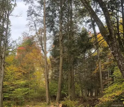 Development Land in Swan Lake