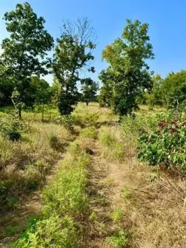 Half-Acre Lake Lot in Porum