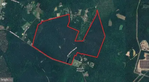 234 Acres of Timber Land