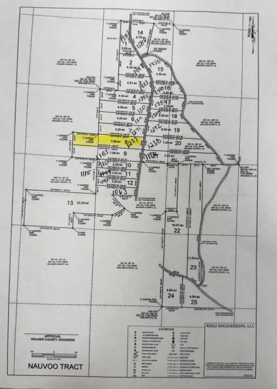 Picture 5