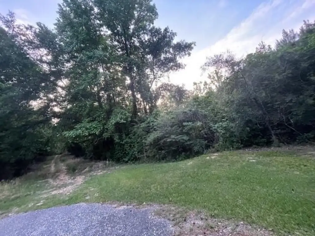 Picture 3