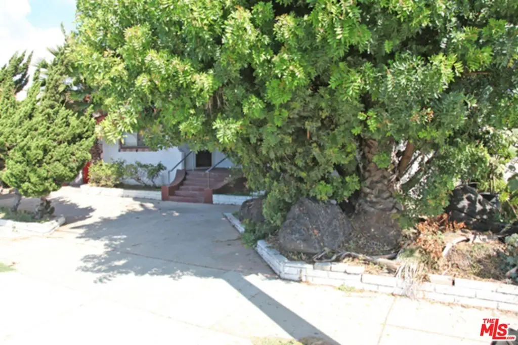 Picture 3