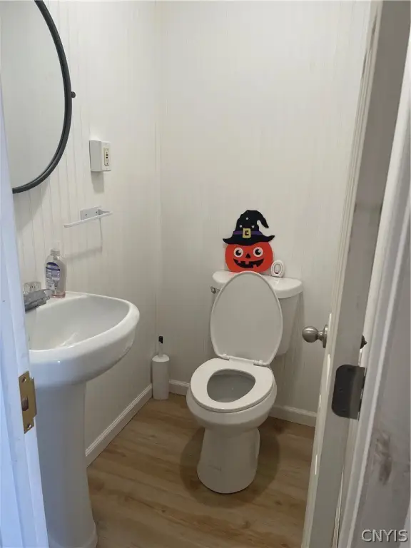 Picture 4