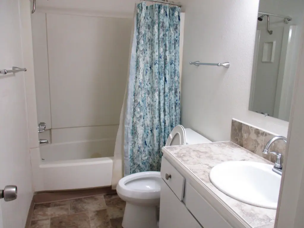 Picture 11