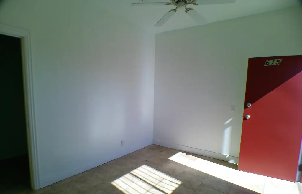 Picture 5