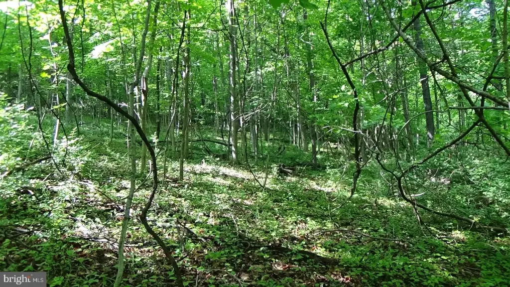 Picture 11