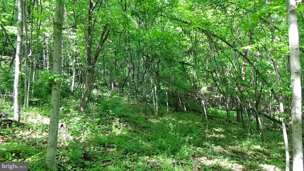 Picture 13